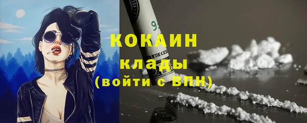 кокс Елизово