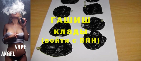 меф Ельня