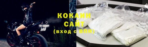 кокс Елизово