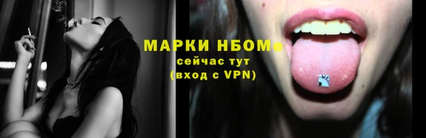 кокс Елизово