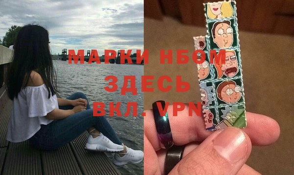 меф Ельня