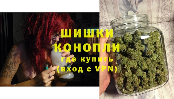 меф Ельня