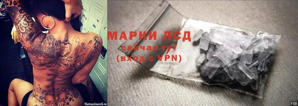 меф Ельня