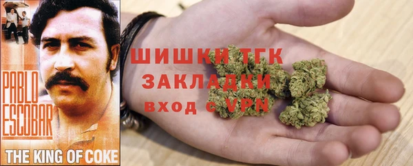 меф Ельня