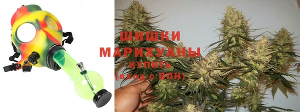 меф Ельня