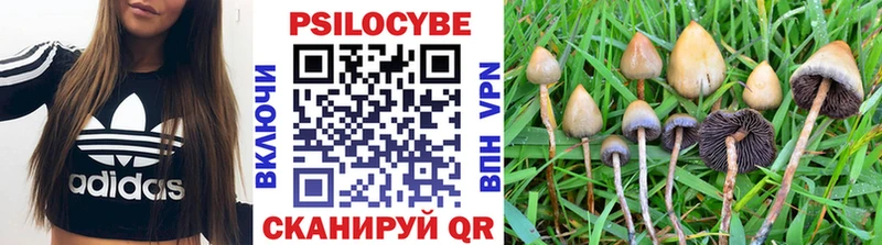Купить  Славск  Галлюциногенные грибы MAGIC MUSHROOMS 